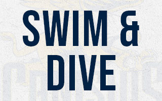 Swimming and Diving Wallpaper Button